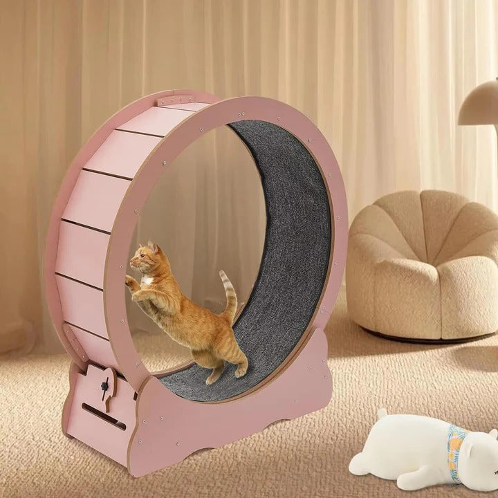 Cat Exercise Wheel