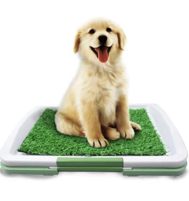 Dog Toilet with Artificial Turf