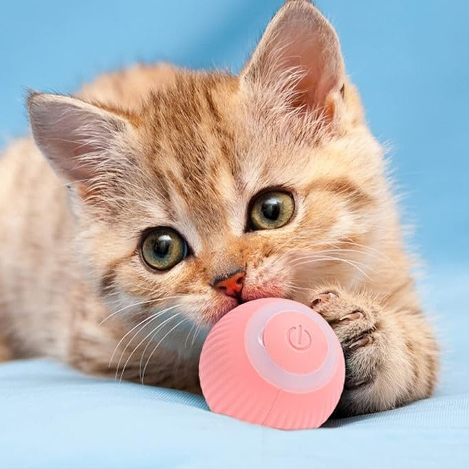 Interactive Play Ball for Cats
