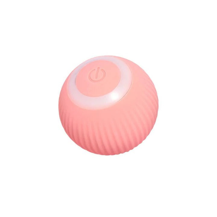 Interactive Play Ball for Cats