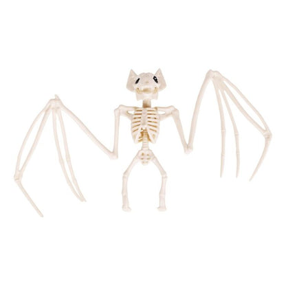 Skeleton Bat Prop with Spread Wings and Natural Bone Look for Halloween Mantels and Branch Displays