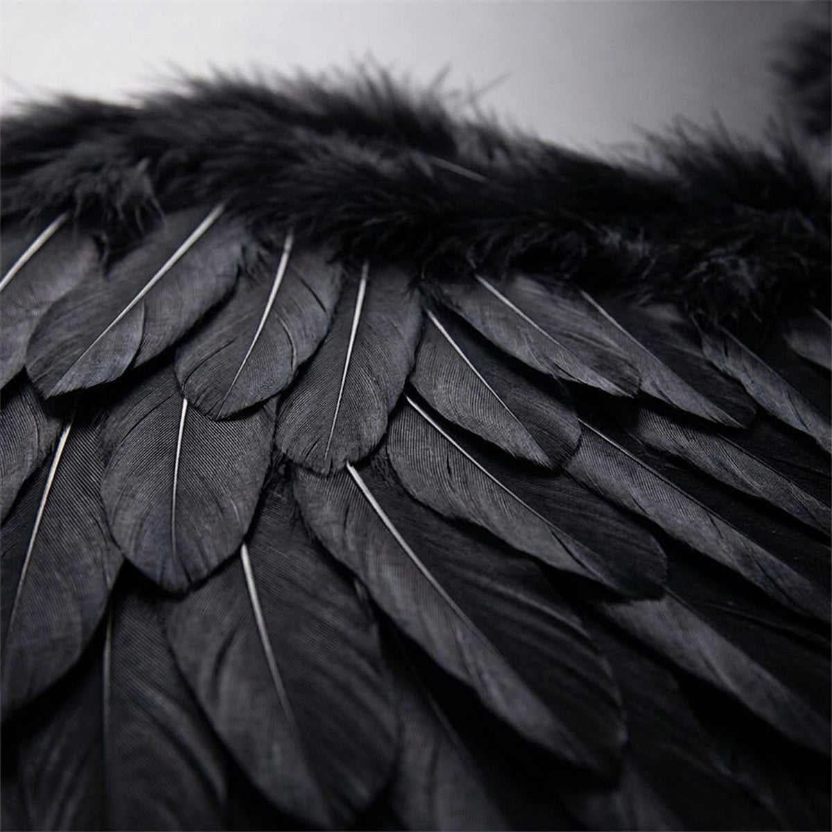 Feather Angel Wings Costume with Elastic Shoulder Straps in Four Colors and Six Sizes