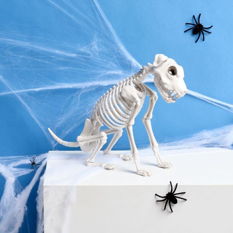 Sitting Skeleton Dog Prop with Natural Bone Look for Halloween Porches and Shelves