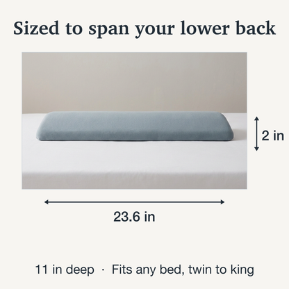 Memory Foam Lumbar Pillow with Tapered Edge and Soft Touch Cover, Full Width Support