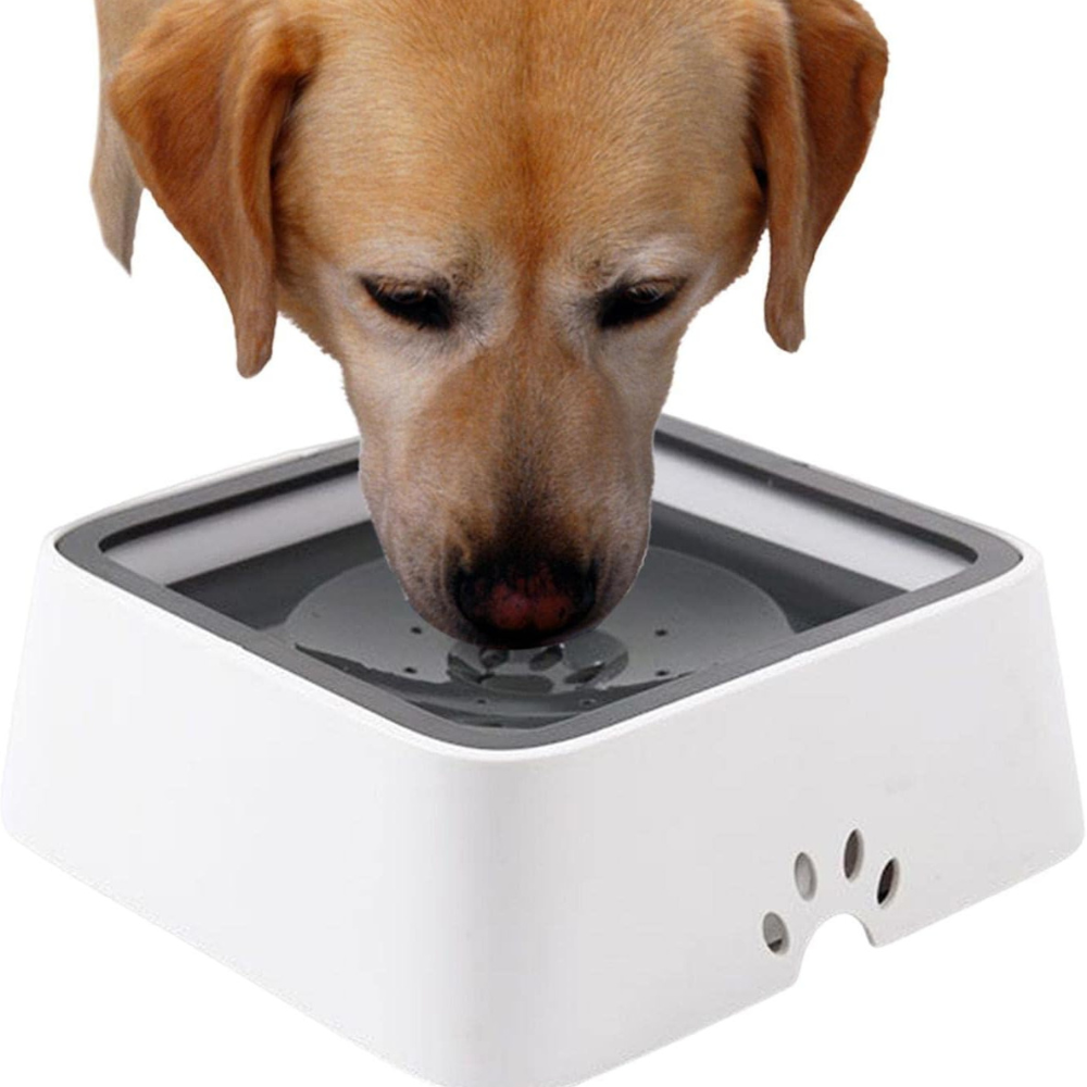 No Spill Dog Water Bowl with Floating Disk Control and Grip Base for Pets