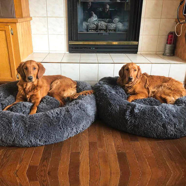 Calming Dog Bed