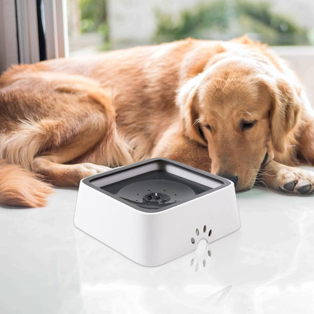 No Spill Dog Water Bowl with Floating Disk Control and Grip Base for Pets