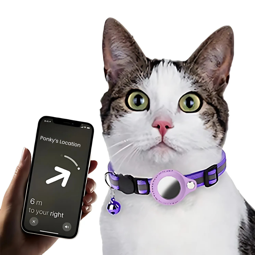 Reflective Pet Collar with Tracking Device Holder and Quick Release Buckle