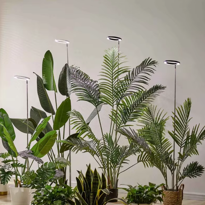 Full Spectrum LED Ring Light with Telescoping Stand and Adjustable Brightness for Indoor Plants