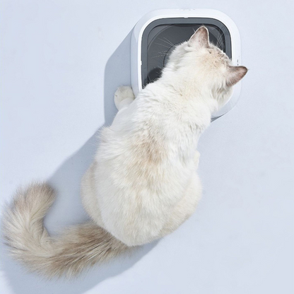No Spill Dog Water Bowl with Floating Disk Control and Grip Base for Pets
