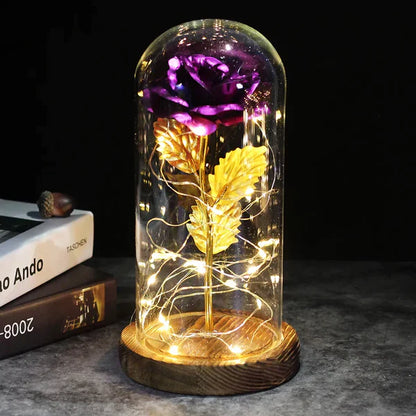 Preserved Rose with LED Dome Display and Battery Power
