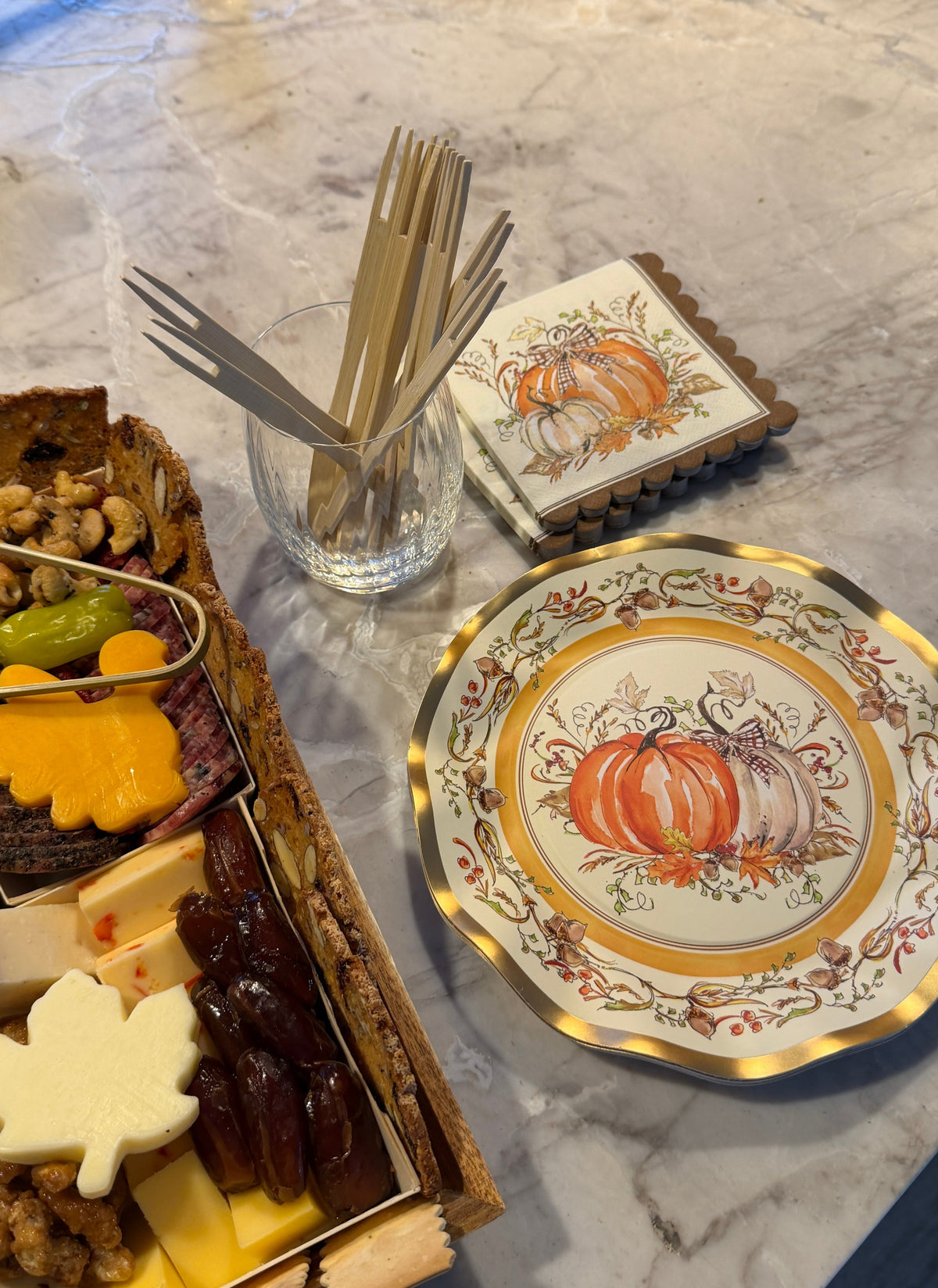 Disposable Paper Plates with Turkey and Pumpkin Design for Thanksgiving Dining
