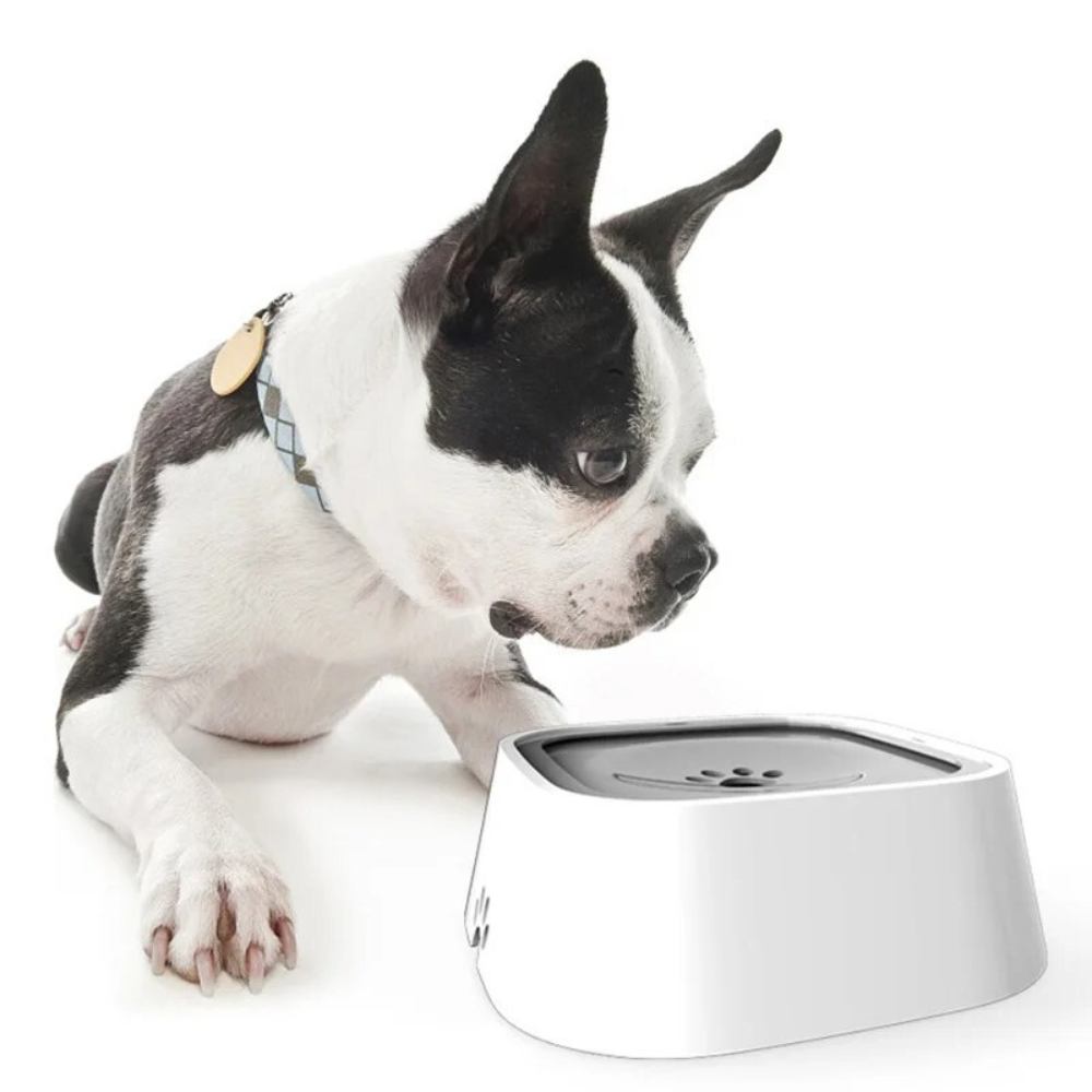 No Spill Dog Water Bowl with Floating Disk Control and Grip Base for Pets