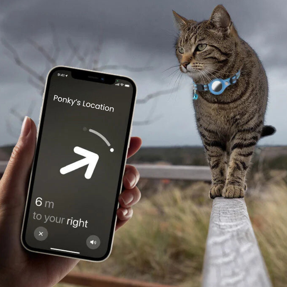 Reflective Pet Collar with Tracking Device Holder and Quick Release Buckle