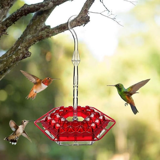 Ant Proof Hummingbird Feeder, Outdoor Hanging Perch