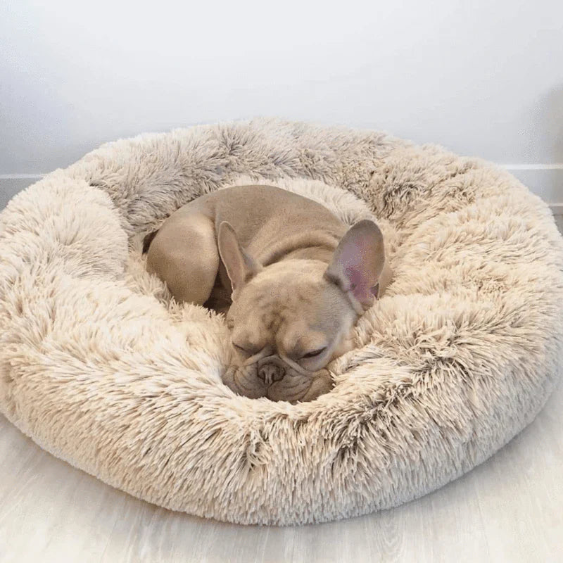 Calming Dog Bed