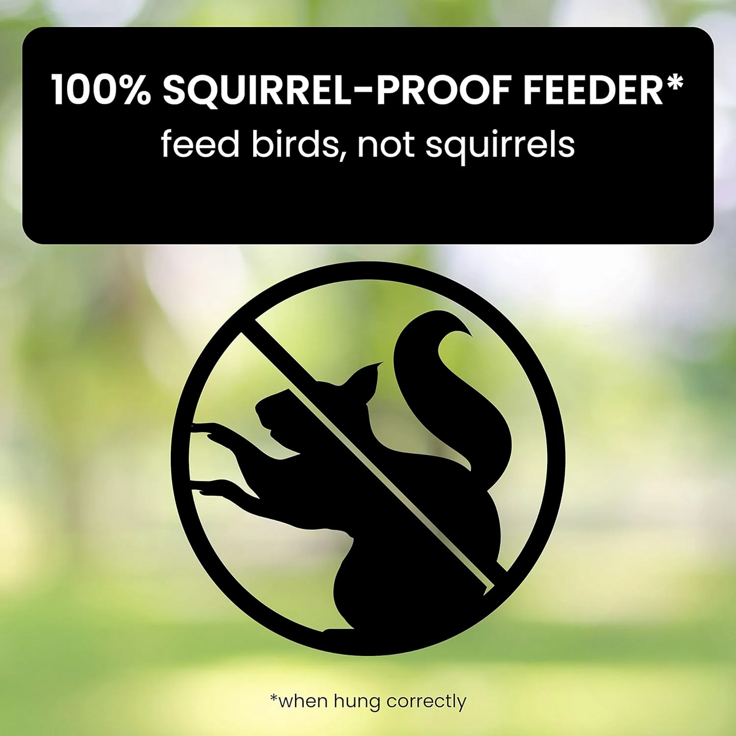 Squirrel Proof Bird Feeder