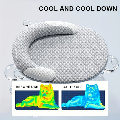 Polyester Cat Bed with Raised Edge and Polypropylene Fill, Non-Slip Base