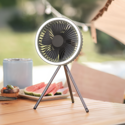 Portable Rechargeable Fan with LED and Built in Power Bank