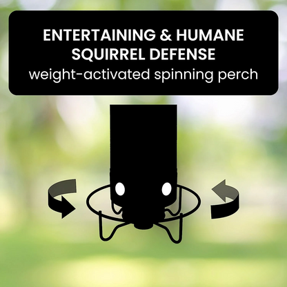 Squirrel Proof Bird Feeder