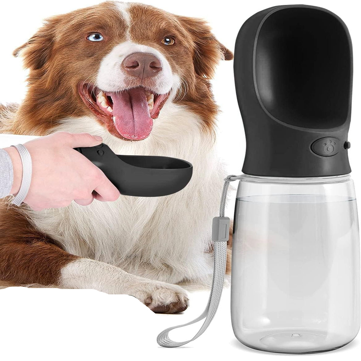 Dog Water Bottle with Attached Bowl and One Button Control, 19 oz