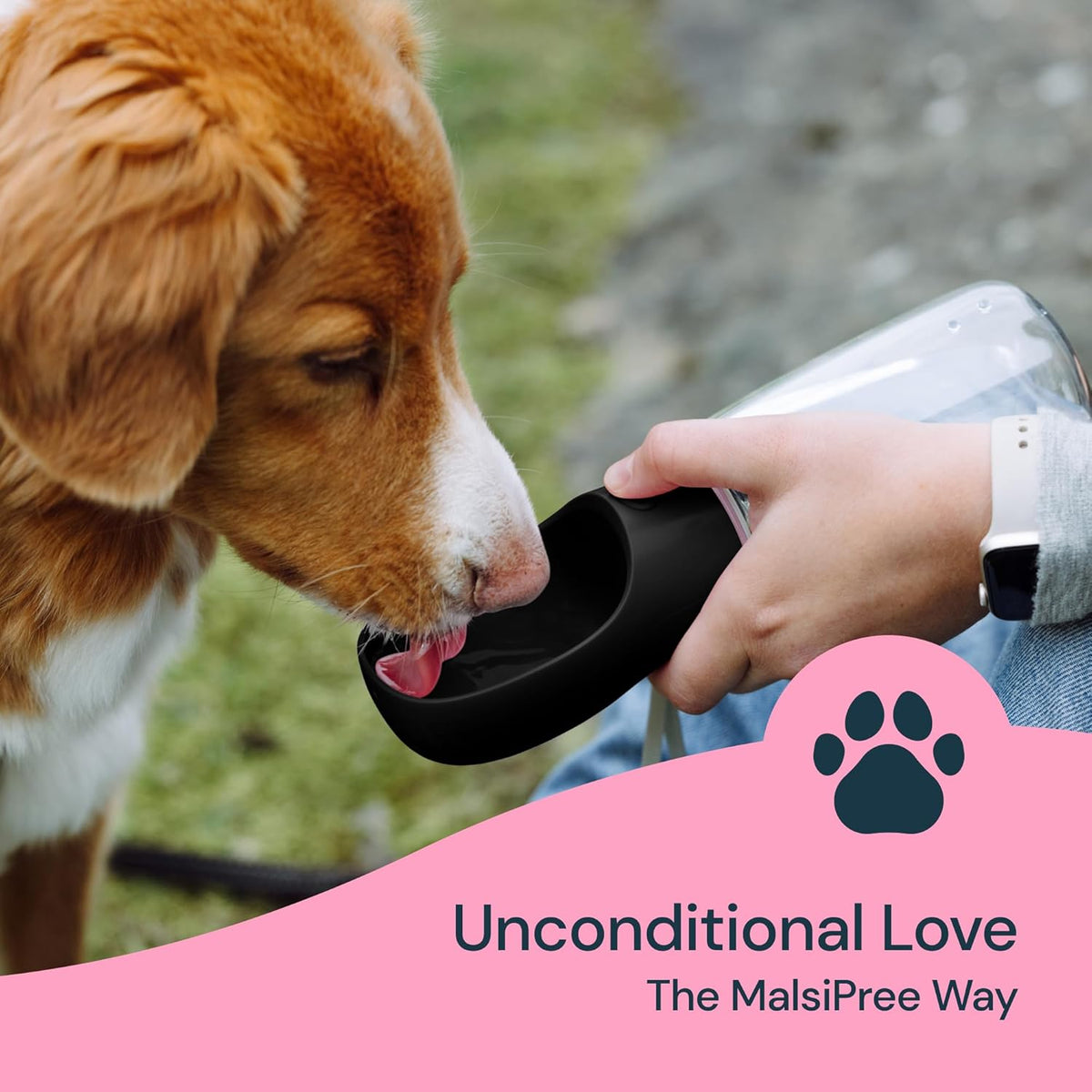 Dog Water Bottle with Attached Bowl and One Button Control, 19 oz