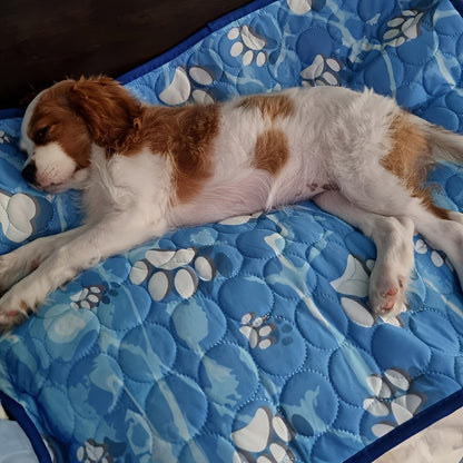 Large Dog Bed with Animal Print Design and Polyester Filling