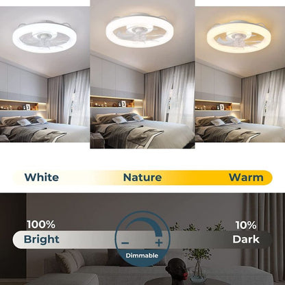 Modern Ceiling Fan with LED Lights