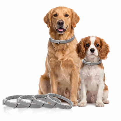 4 Pack Flea & Tick Collar for Dogs, Waterproof Adjustable Protection, Small, Medium & Large Dogs & Puppies