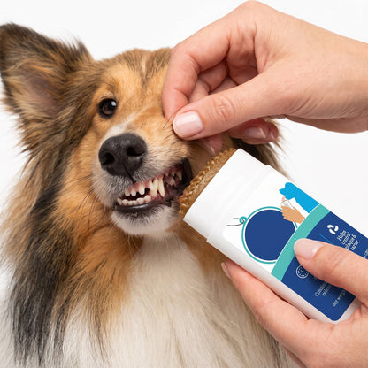 Dog Dental Gel, Teeth Cleaning & 24 Hour Breath Freshener, Peanut Butter Flavor, 30 Day Supply