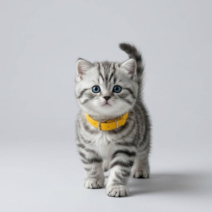 Realistic Interactive Tabby Robot Kitten, Walking & Meowing Robot Cat