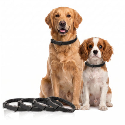 4 Pack Flea & Tick Collar for Dogs, Waterproof Adjustable Protection, Small, Medium & Large Dogs & Puppies
