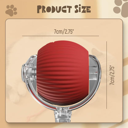 Interactive Rolling Pet Ball with Touch Activation and Erratic Movement Patterns