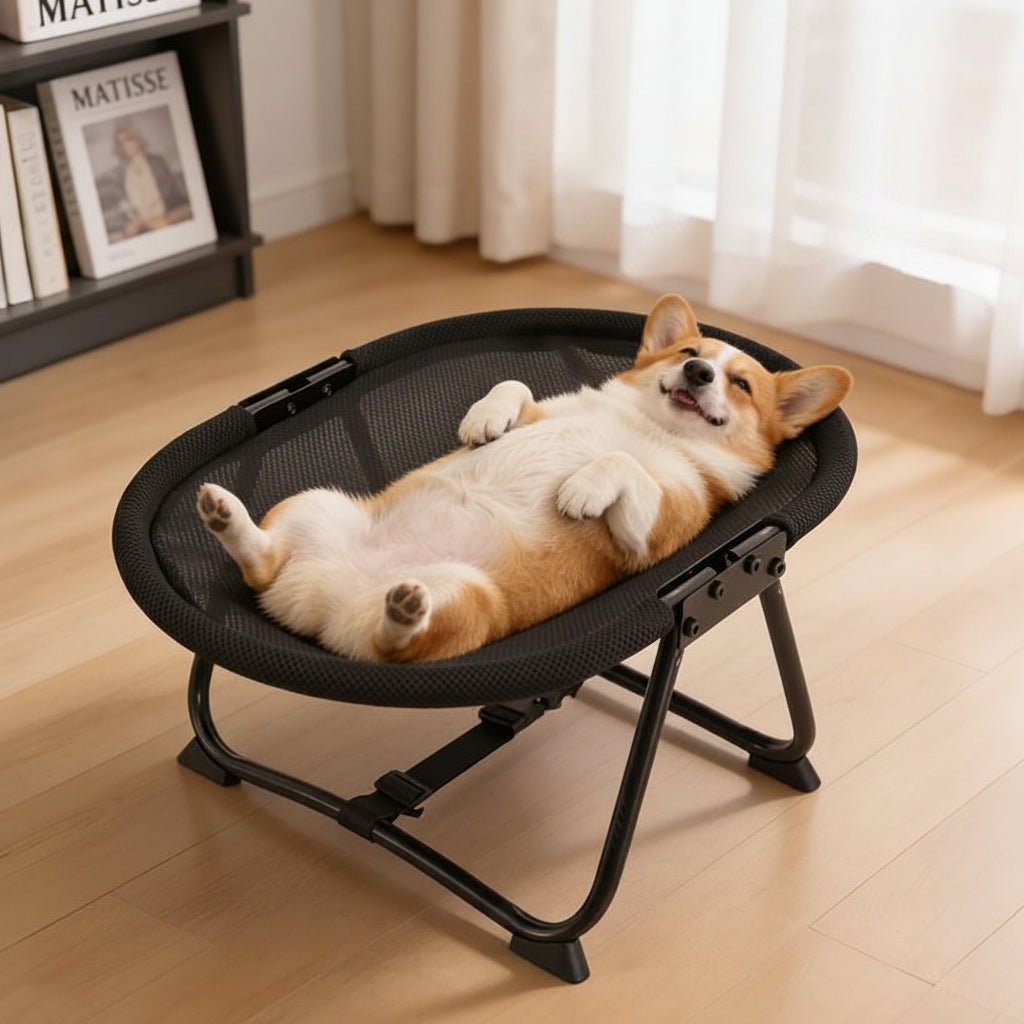 Elevated Pet Bed with Breathable Mesh and Carrying Bag for Cats and Dogs