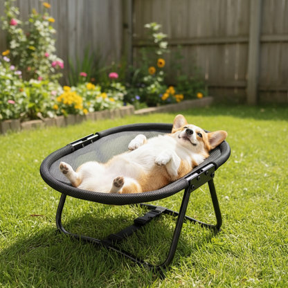 Elevated Pet Bed with Breathable Mesh and Carrying Bag for Cats and Dogs
