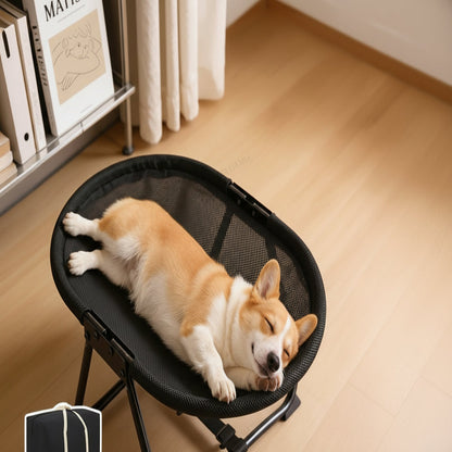 Elevated Pet Bed with Breathable Mesh and Carrying Bag for Cats and Dogs