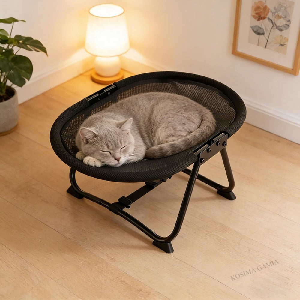 Elevated Pet Bed with Breathable Mesh and Carrying Bag for Cats and Dogs