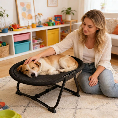 Elevated Pet Bed with Breathable Mesh and Carrying Bag for Cats and Dogs