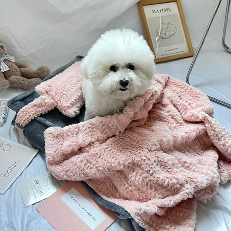 Plush Pet Bed with Removable Pillow and Matching Blanket