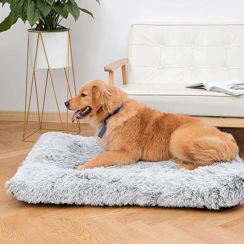 Washable Pet Bed Mat with Removable Foam Cushion and Fleece Cover, Five Sizes
