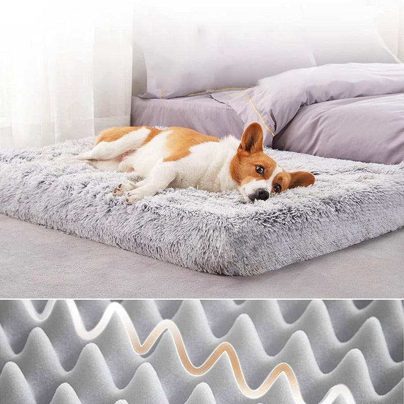 Washable Pet Bed Mat with Removable Foam Cushion and Fleece Cover, Five Sizes