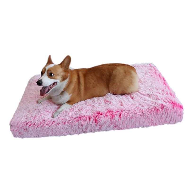 Washable Pet Bed Mat with Removable Foam Cushion and Fleece Cover, Five Sizes