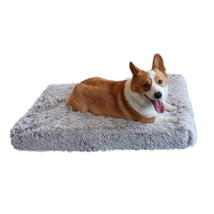 Washable Pet Bed Mat with Removable Foam Cushion and Fleece Cover, Five Sizes