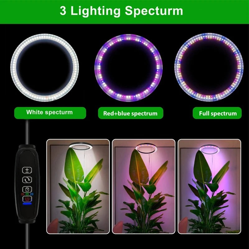 Ring Grow Light with Adjustable Telescoping Stand and Timer