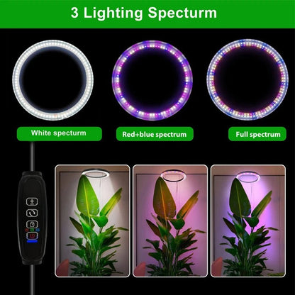 Ring Grow Light with Adjustable Telescoping Stand and Timer