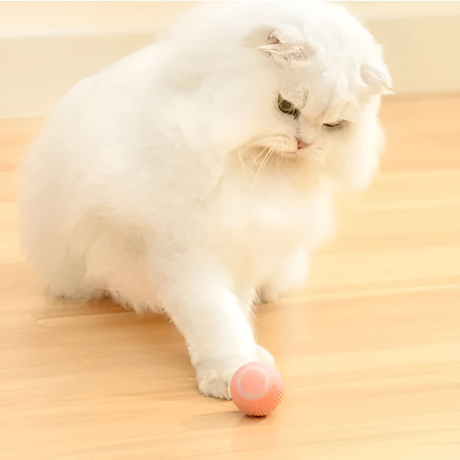 Interactive Cat Ball Toy with Motion Sensor and Dual Play Modes