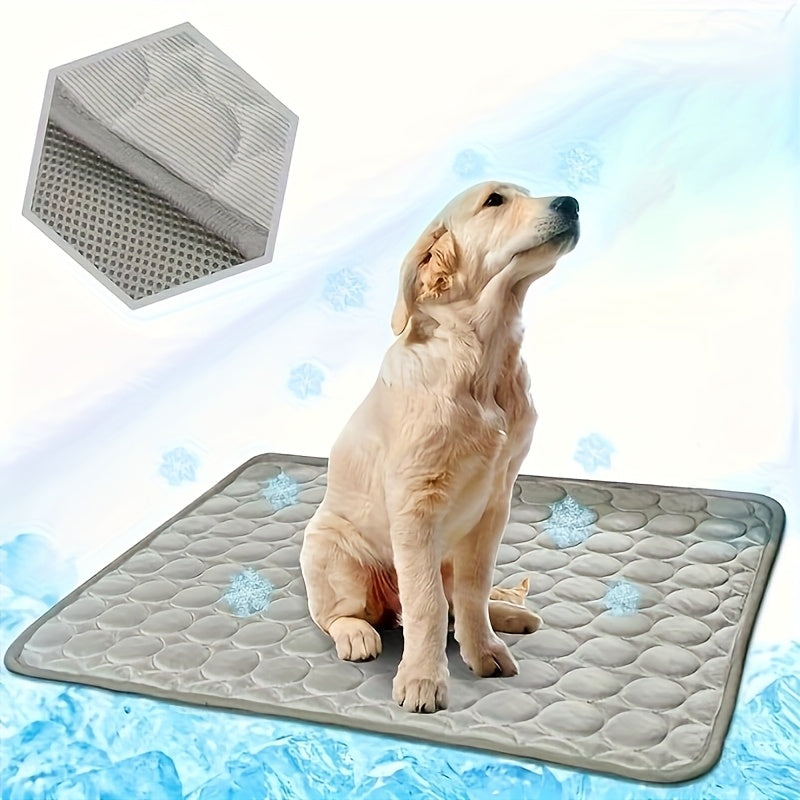 Polyester Pet Bed for Extra Small Dogs with Polyamide Cover and Cushioned Filling