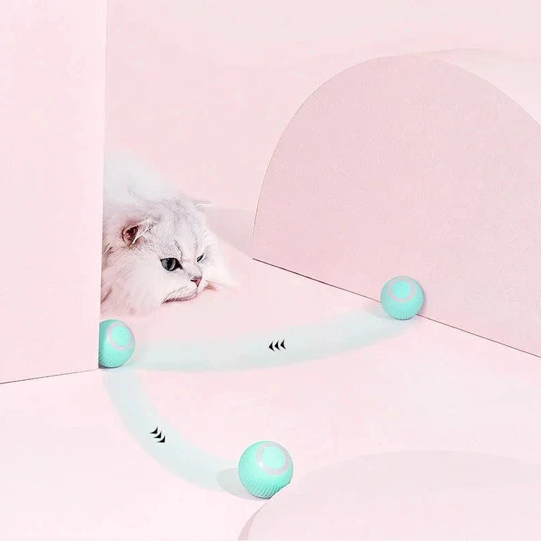 Interactive Cat Ball Toy with Motion Sensor and Dual Play Modes