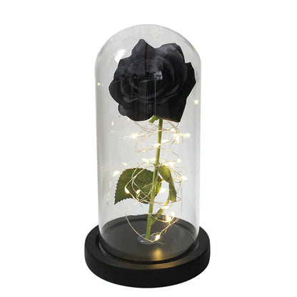 Preserved Rose with LED Dome Display and Battery Power