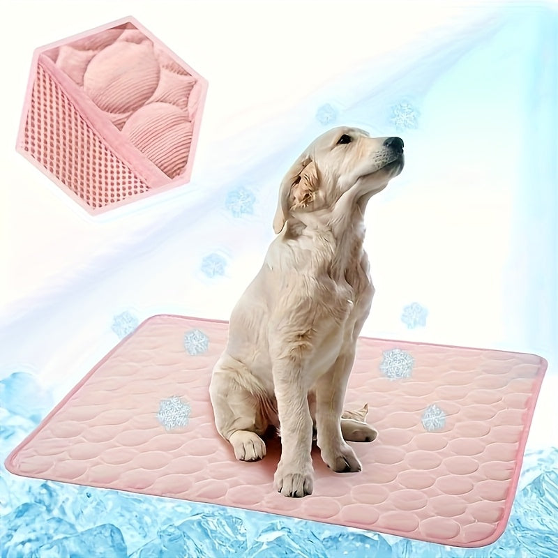 Polyester Pet Bed for Extra Small Dogs with Polyamide Cover and Cushioned Filling